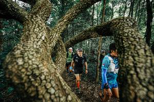 BIB: 
                            <button type="button" onclick="openModal(25393139)" class="btn btn-primary btn-sm float-right btn-popup" data-toggle="modal" data-target=".modal-high-quality">
                        <i class="fas fa-shopping-cart"></i> Add to Cart
                    </button>
                                            <button type="button" onclick="isThisMe(25393139, true)" class="btn btn-success btn-sm float-right btn-popup btn-isme hidden" data-toggle="tooltip" data-placement="bottom" title="นี่คือรูปของคุณใช่ไหม คลิกที่นี่เพื่อเอาเข้าอัลบั้ม">
                        <i class="fas fa-plus"></i> Add to album
                    </button>
                    <button type="button" onclick="isThisMe(25393139, false)" class="btn btn-warning btn-sm float-right btn-popup btn-isnotme hidden">
                        <i class="fas fa-ban"></i> Remove from album
                    </button>